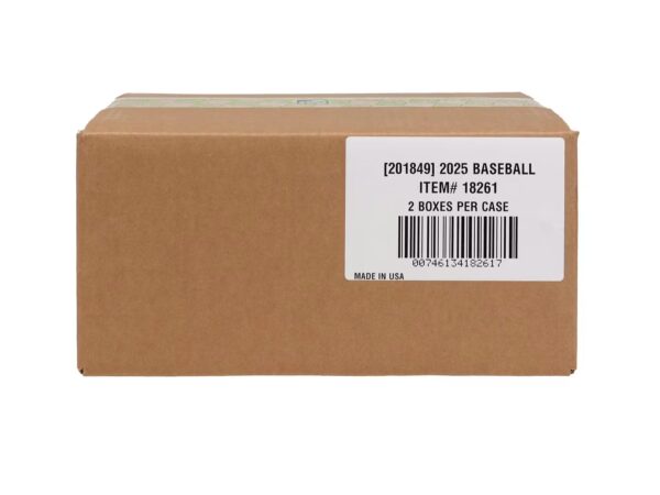 Flawless-1 2025 Flawless Baseball Case